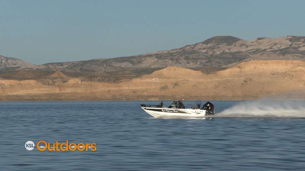 Kokanee Crash at Flaming Gorge! What Can Be Done?