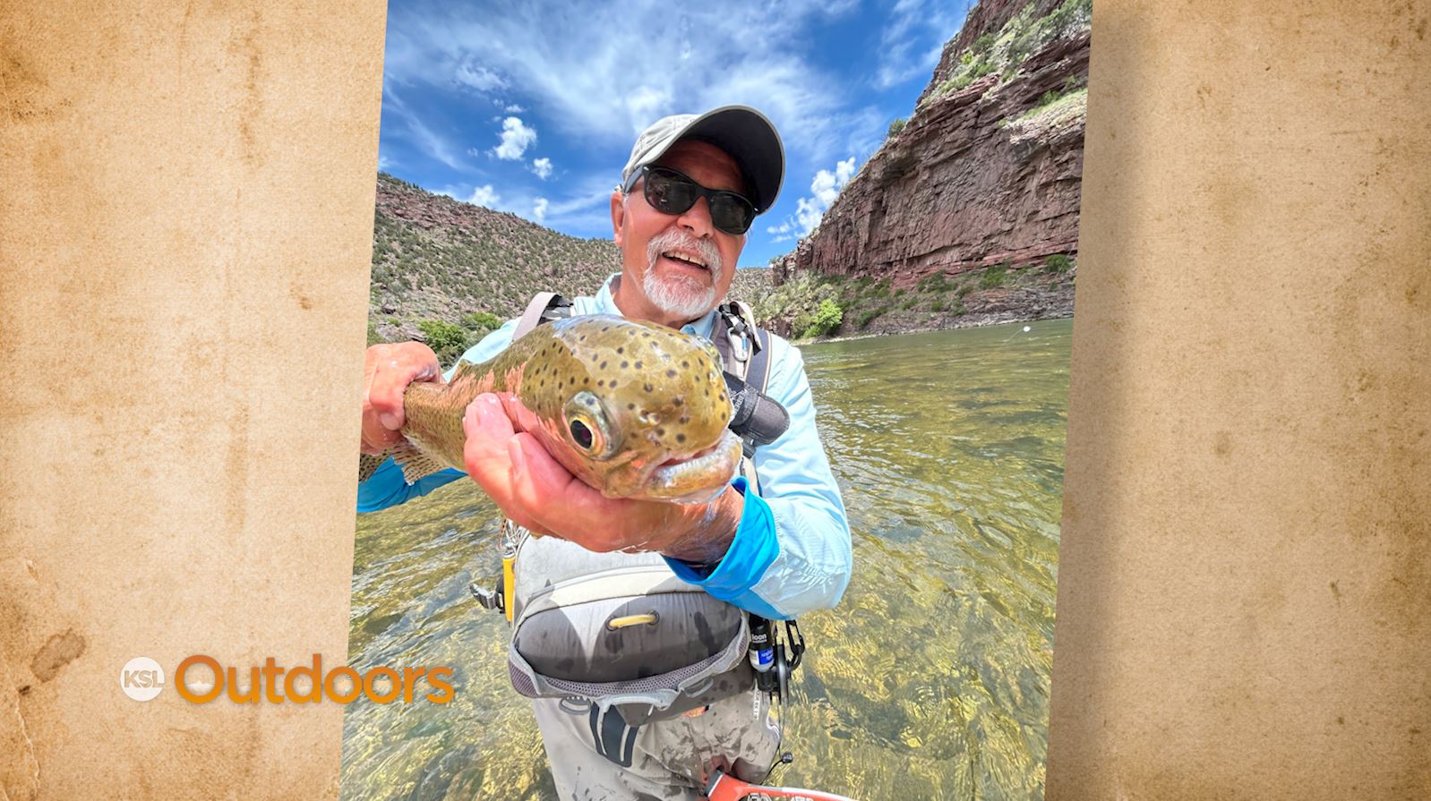 Snapshot of the Week: July 15, 2023