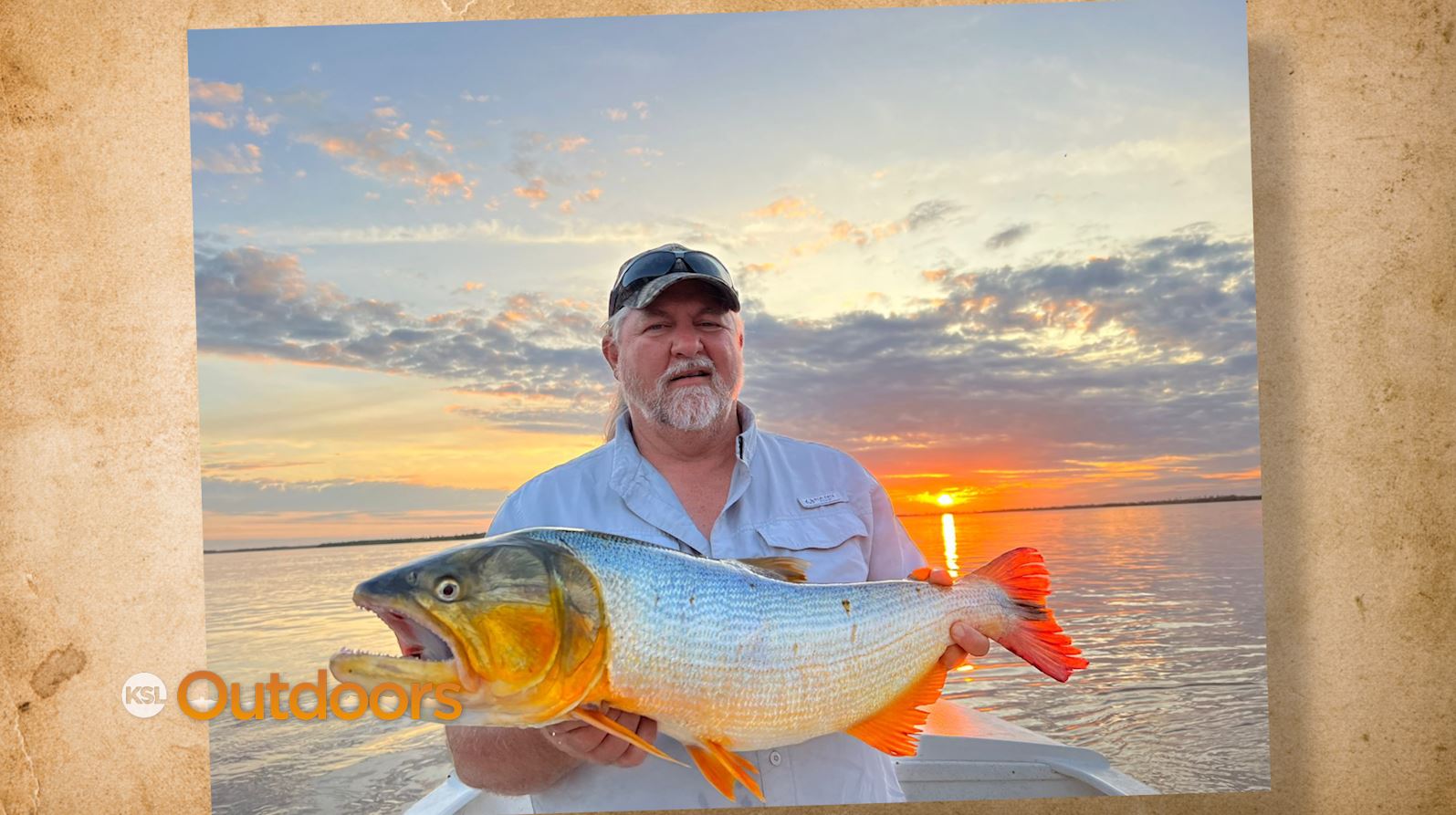 Snapshot of the Week: July 22, 2023