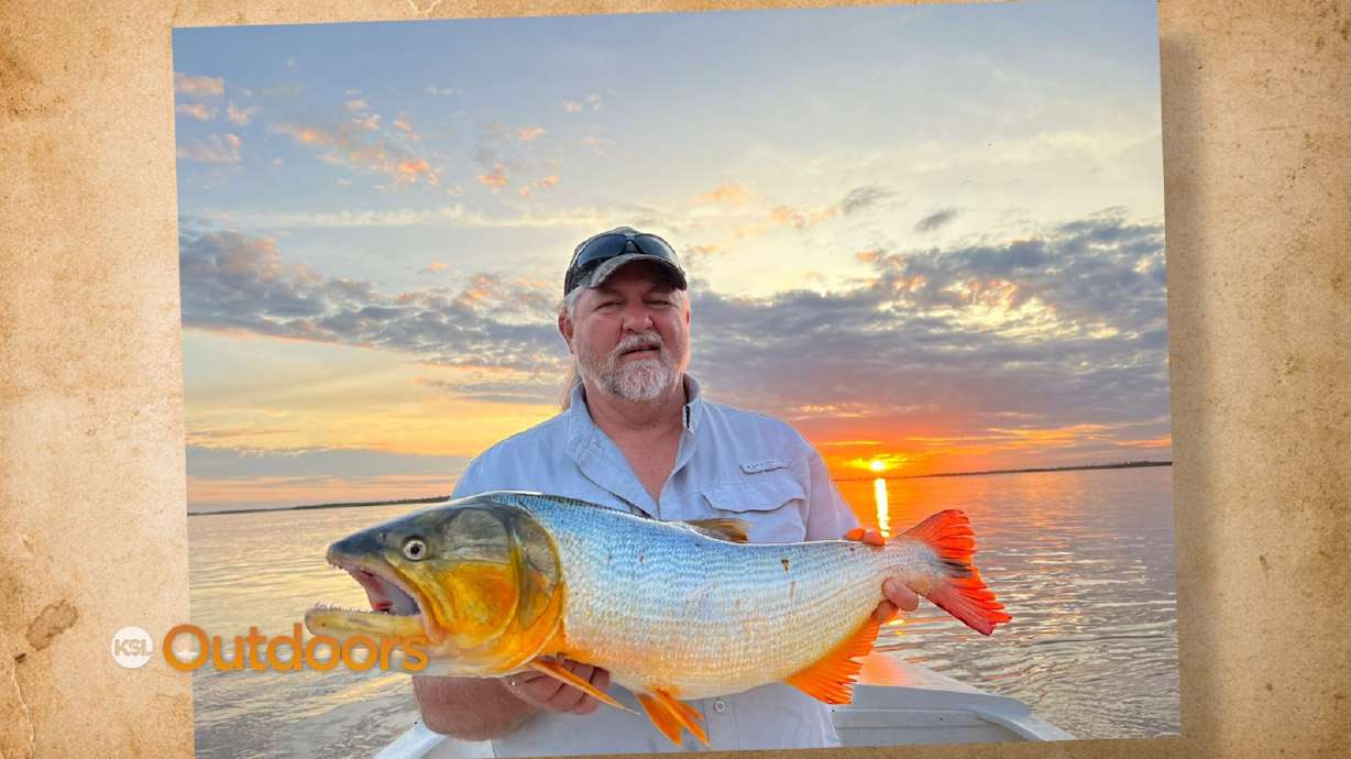 Snapshot of the Week: July 22, 2023