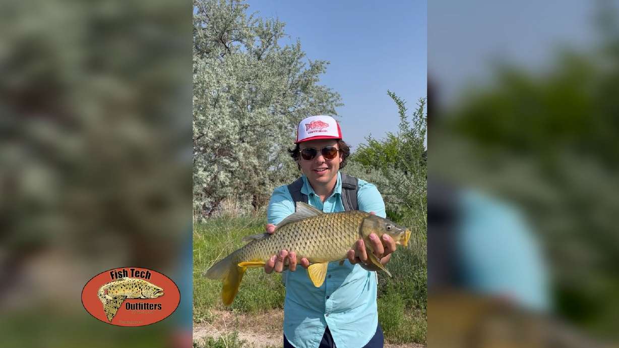 Fish Tech Tip: How to Fly Fish for Carp