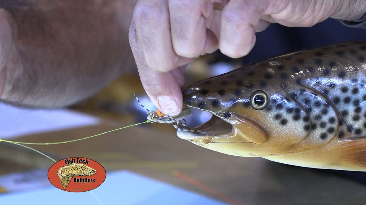 Fish Tech Tip: How to Fish a Sliding Dry Dropper Rig