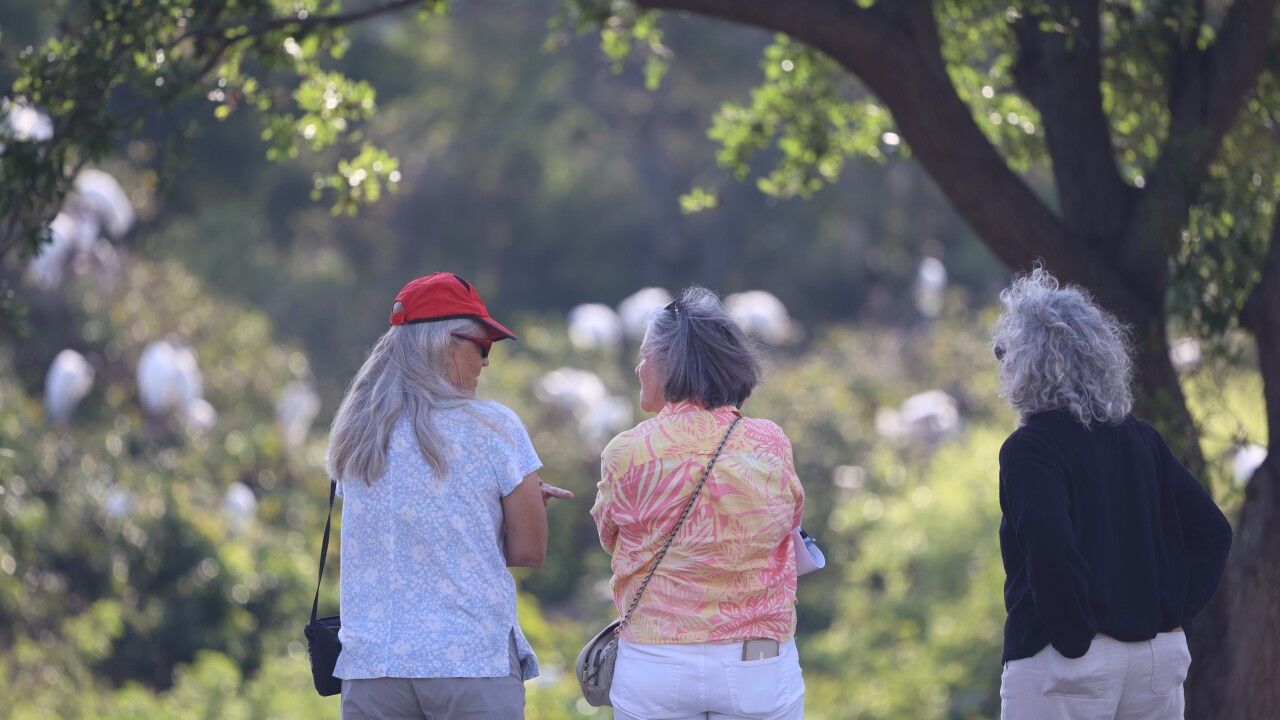 A group of birdwatchers met in Hillsborough County to learn how to count a wood stork colony. A recent study says birdwatching may boost your brain health and slow cognitive aging.