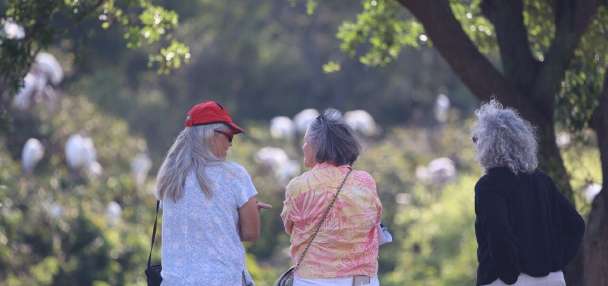 Bird brain: New study finds birdwatching may boost brain health, slow cognitive aging