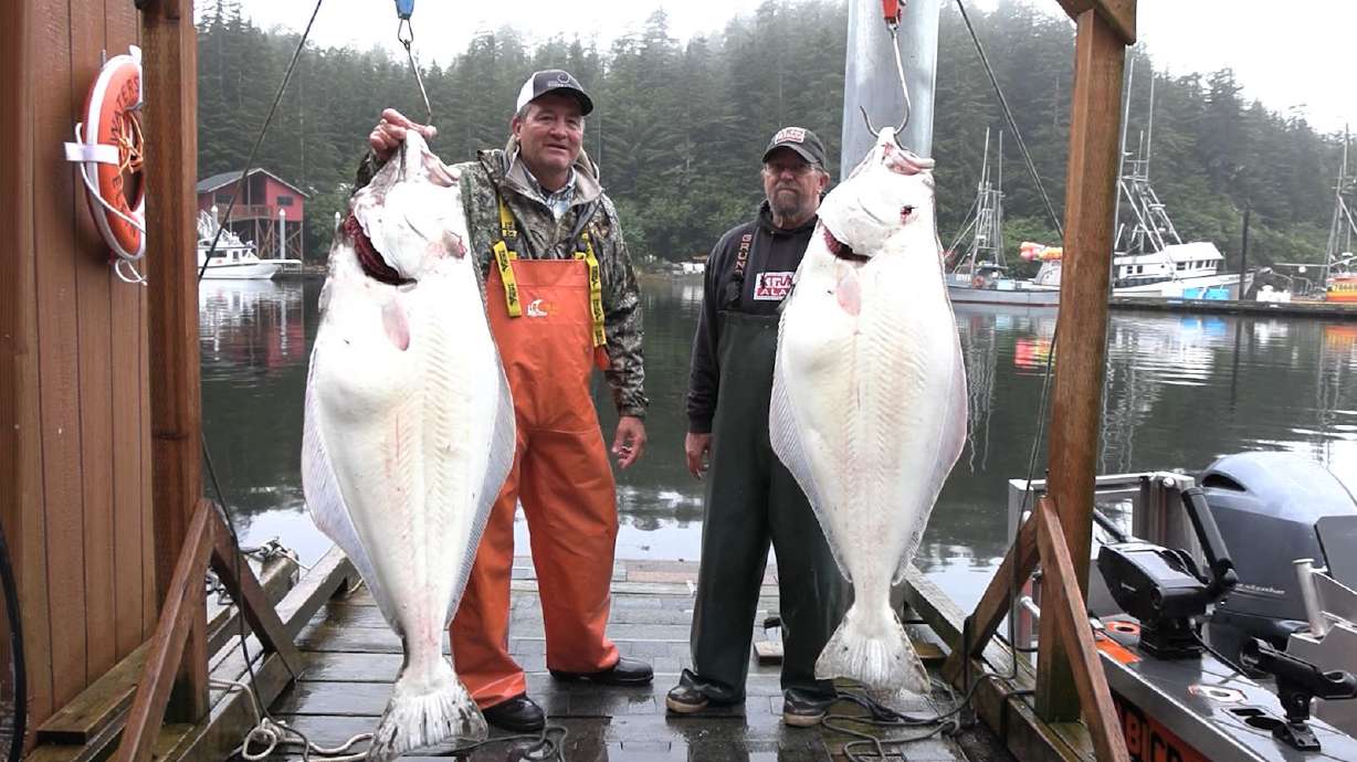 Big Halibut and Salmon Fishing in Elfin Cove, Alaska