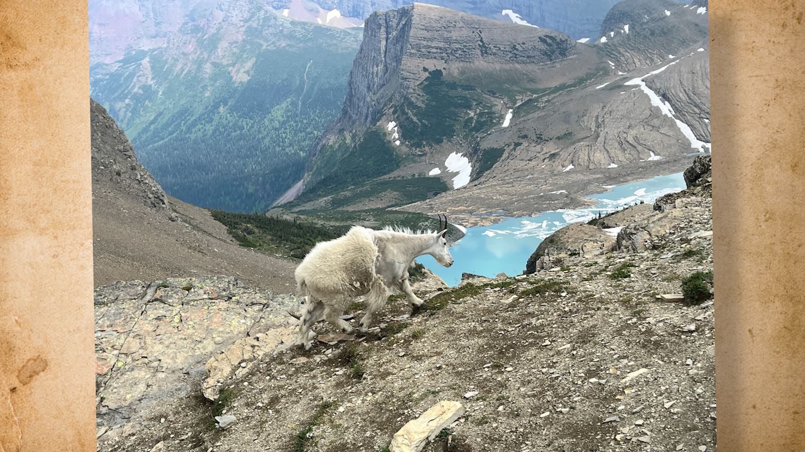 Snapshot of the Week: September 9, 2023