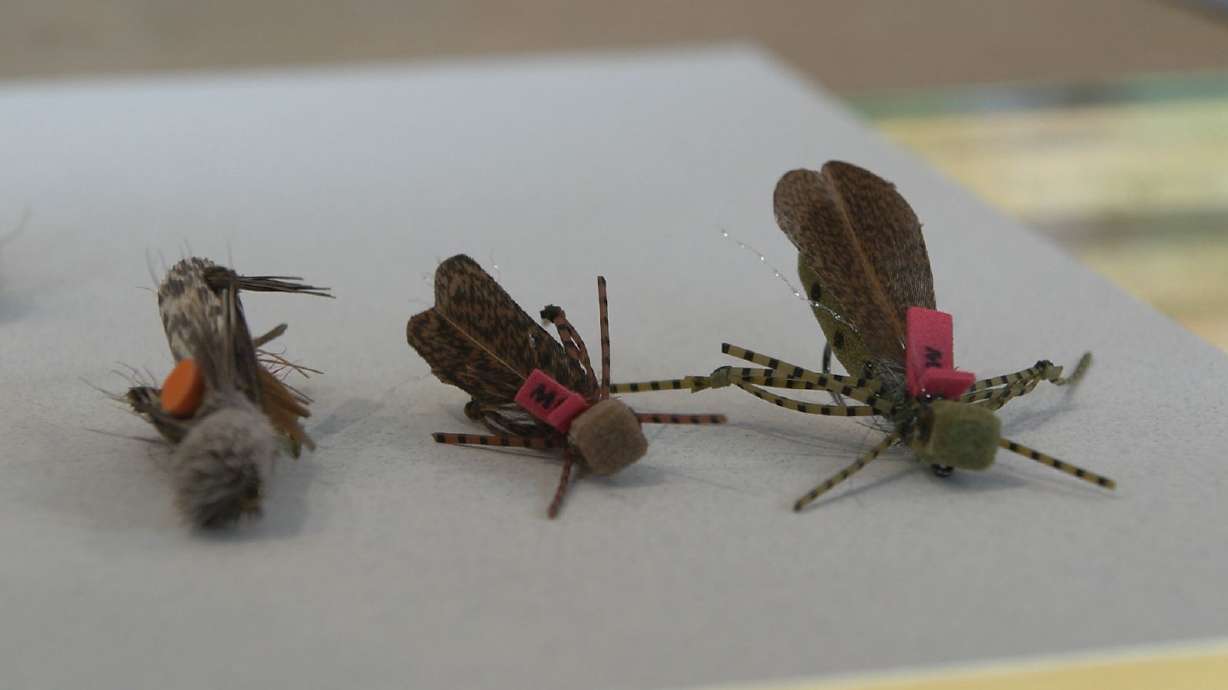 Hopper Patterns for Late Summer Fly Fishing