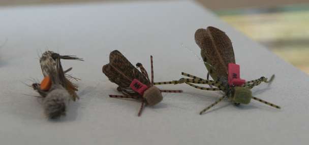 Hopper Patterns for Late Summer Fly Fishing