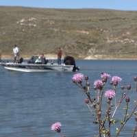 Fall Fishing on Lakes