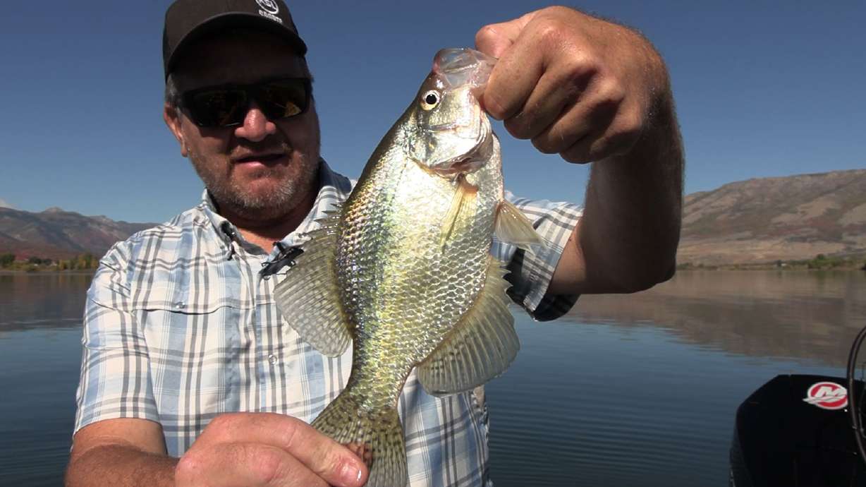 Crappie Fishing at Pineview Reservoir