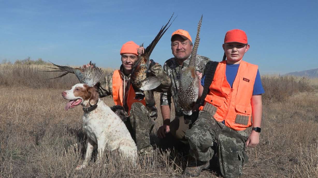 Sportsmen for Fish and Wildlife Beginner Pheasant Hunt