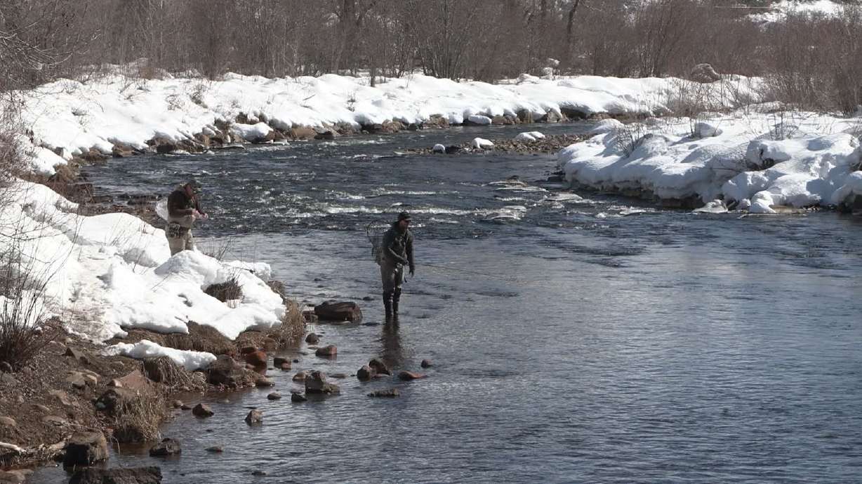 Fish Tech Tip: How to Lure Cold Fish to Bite in Winter