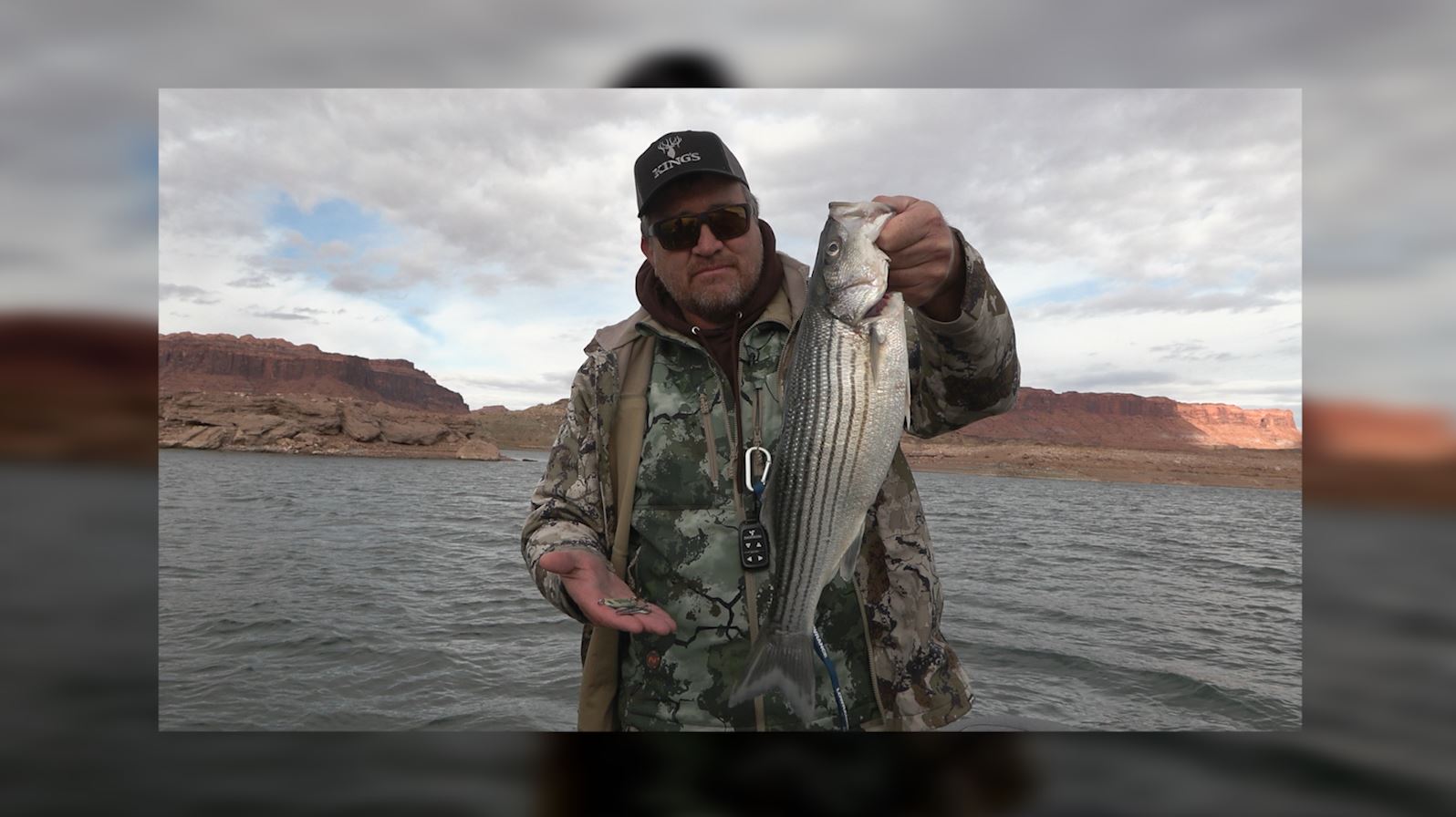 The Winter Striped Bass Bite is Hot at Lake Powell