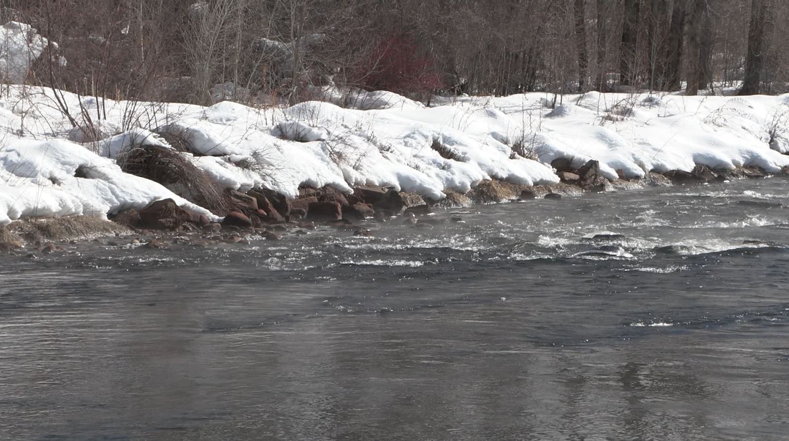 Fish Tech Tip: Fishing the Winter Midge Hatch
