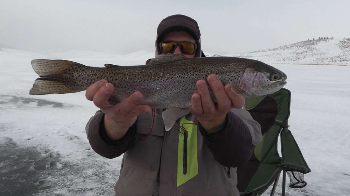 A Mess of Rainbows and Cutthroat on the Ice at Strawberry Reservoir