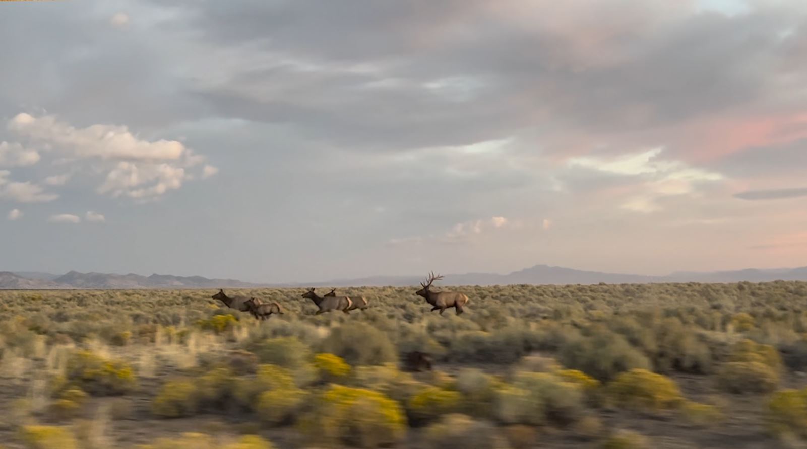 Snapshot of the Week: March 2, 2024