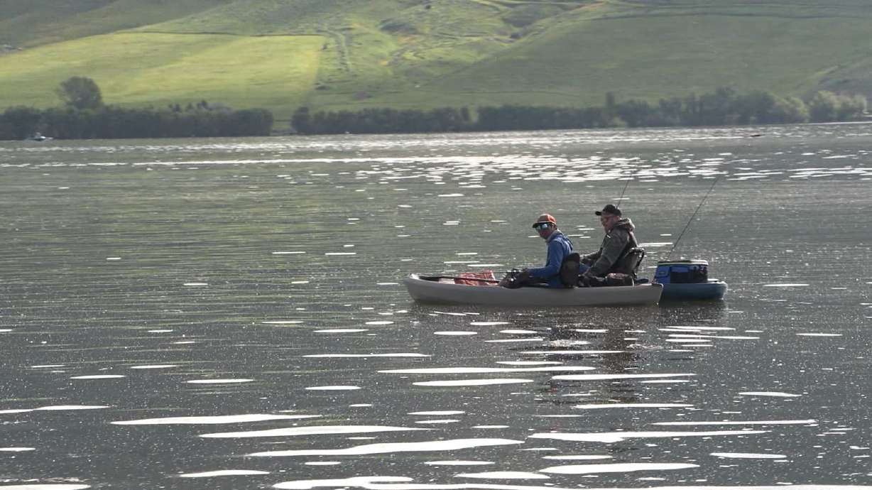Utah Mussel Aware Boater Course Required for All Watercraft Users