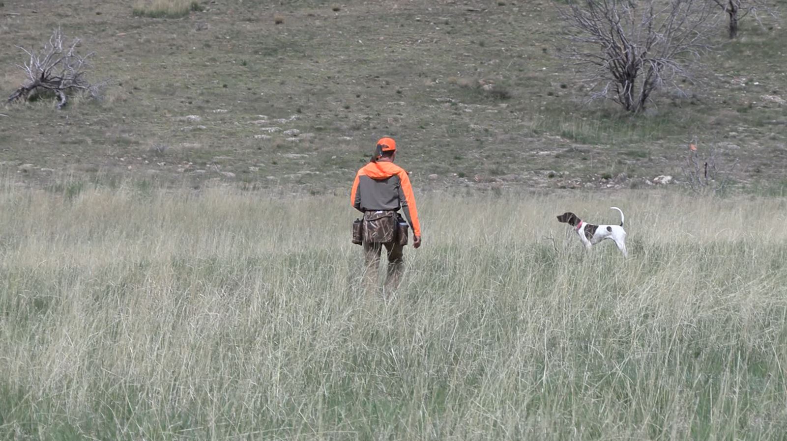 NSTRA Best of the West Dog Trials in Utah