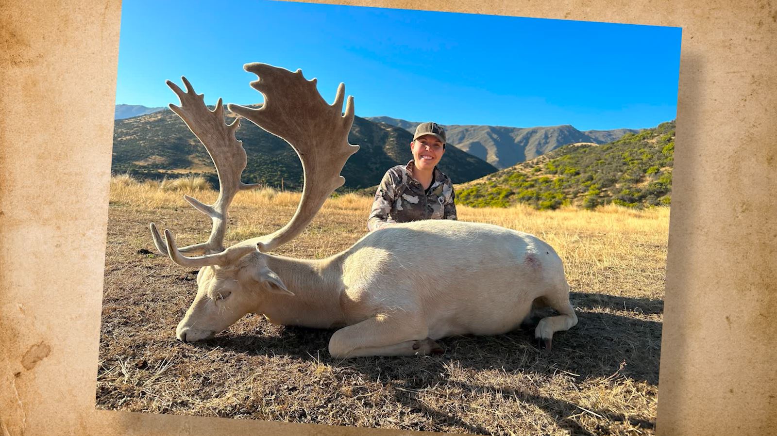 Snapshot of the Week: May 25, 2024