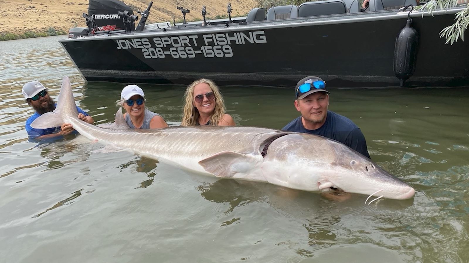Field Guide: White Sturgeon