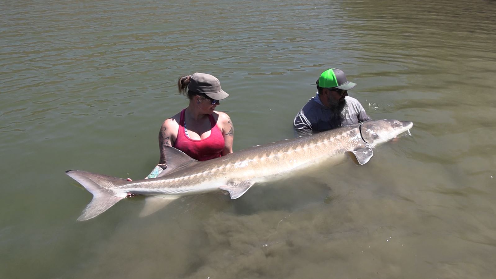 Catching Monster Sturgeon with Jones Sport Fishing