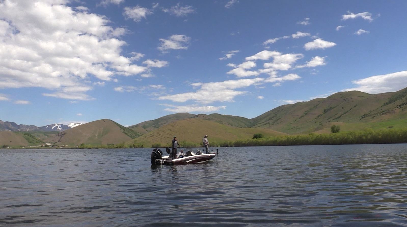 Has Mantua Reservoir Recovered from Algae-Bloom Control?