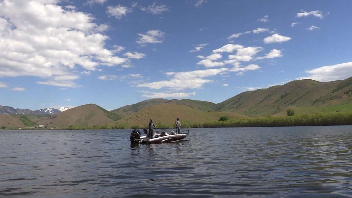 Has Mantua Reservoir Recovered from Algae-Bloom Control?