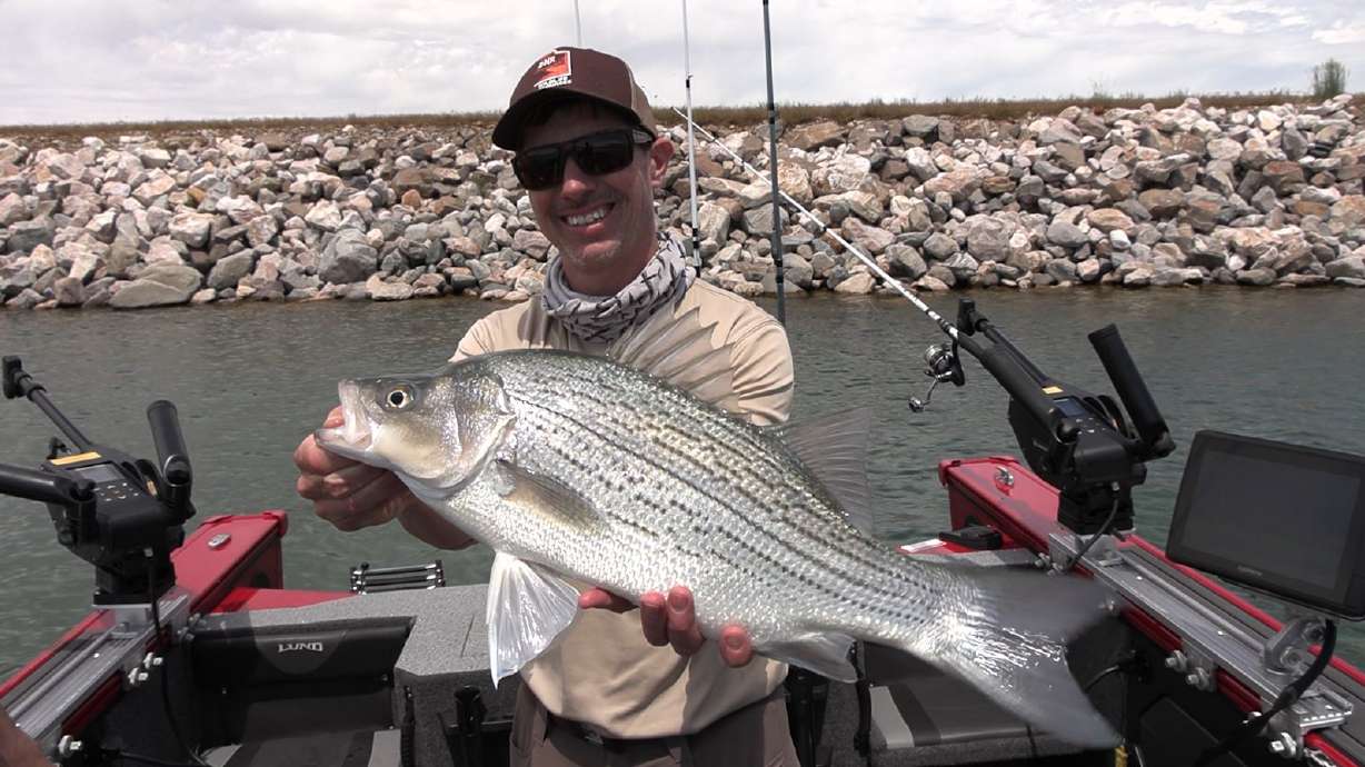 Fast Fishing for Big Wipers at Willard Bay