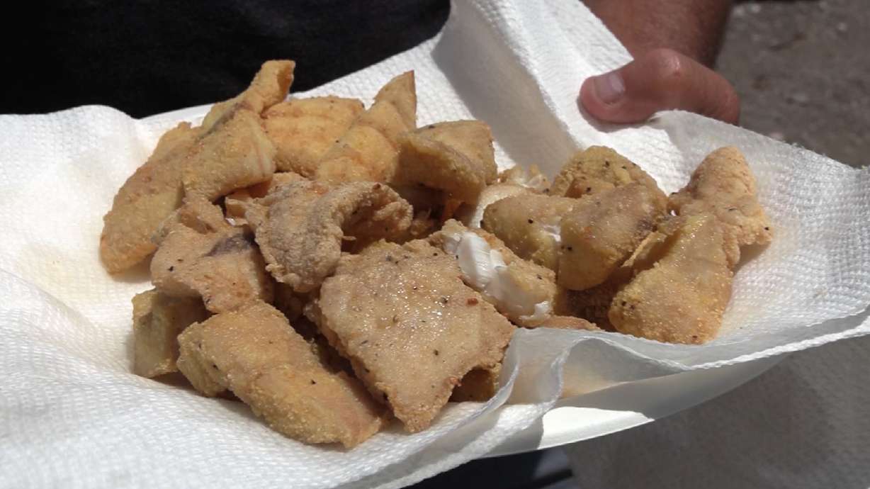 Easy Way to Cook a Wiper and Walleye Shore Lunch with Camp Chef