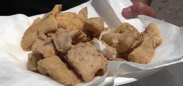 Easy Way to Cook a Wiper and Walleye Shore Lunch with Camp Chef