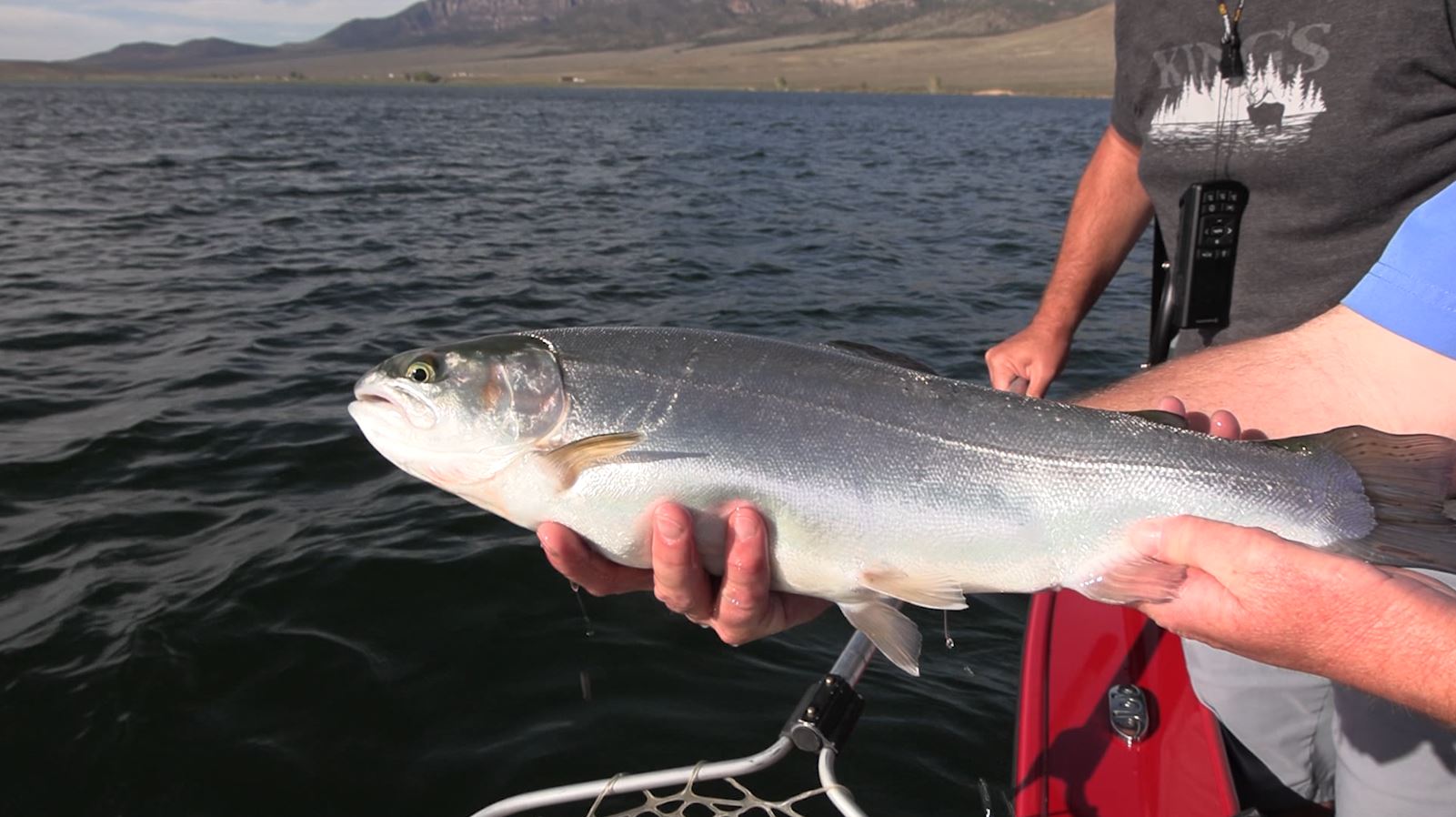 Catching Hard-Fighting Rainbow Trout at Otter Creek