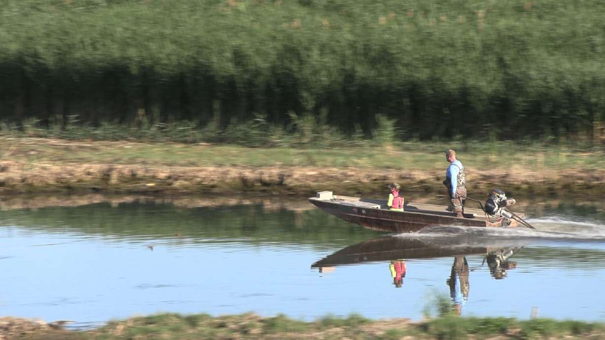 Wasatch Wigeons Restore Duck Habitat at Willard Spur