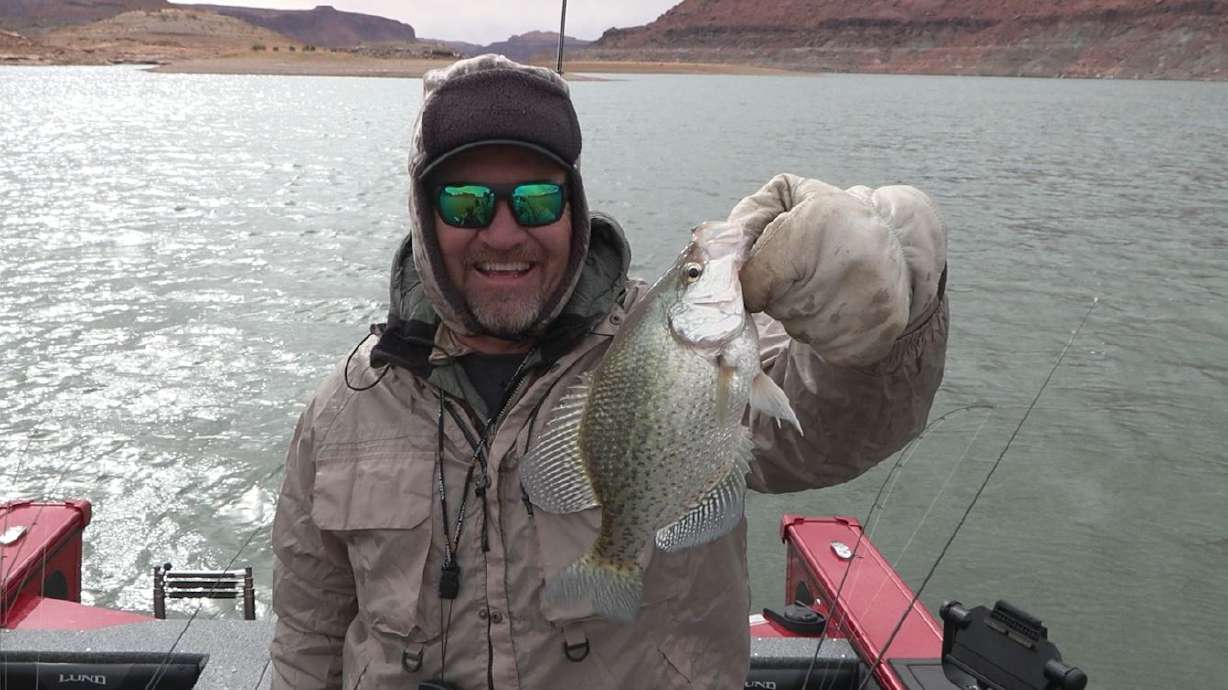 Fall Fishing is HOT at Lake Powell for Multiple Species