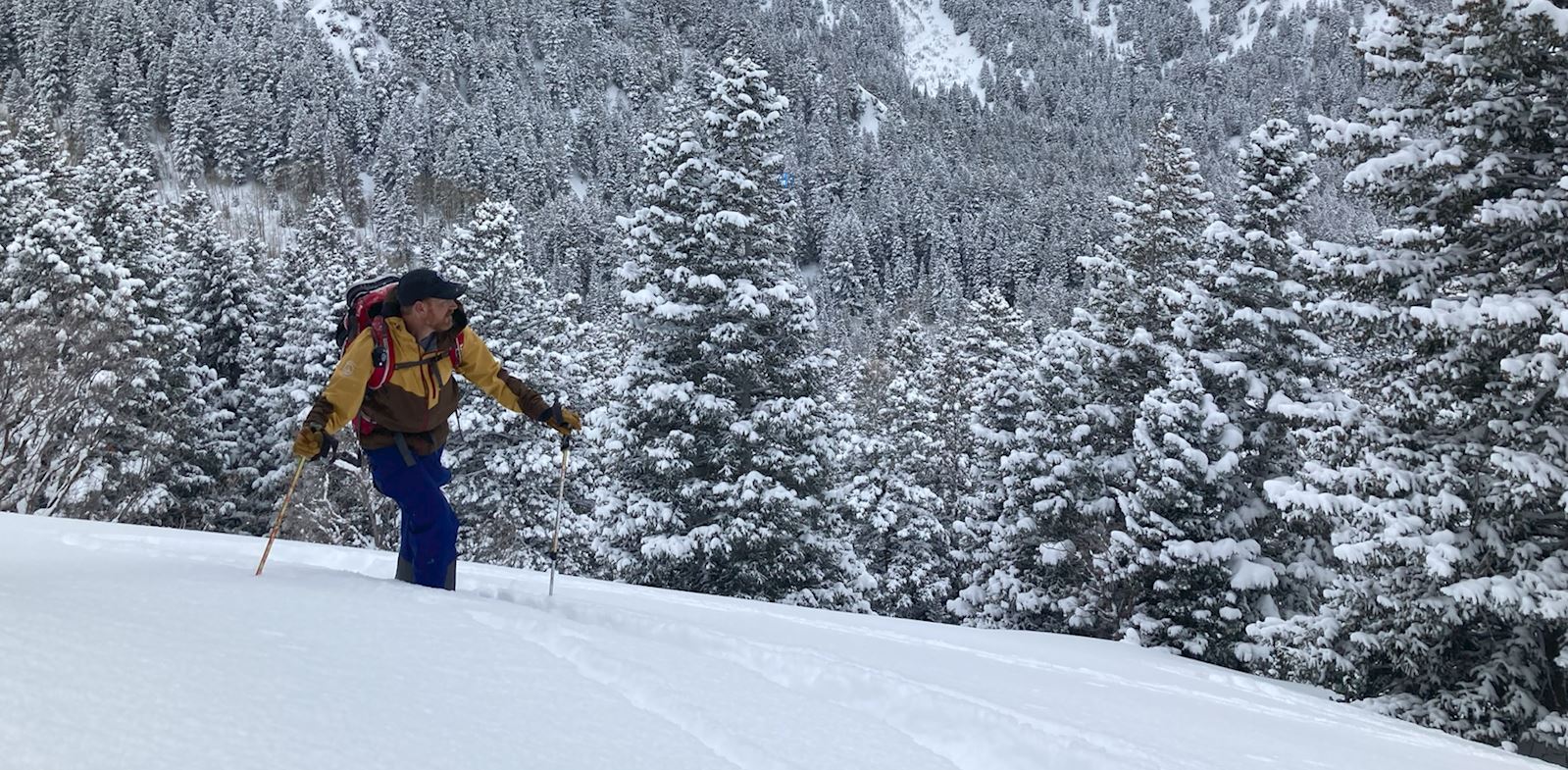 New Recreation Fees Required at Popular Wasatch Mountain Trailheads