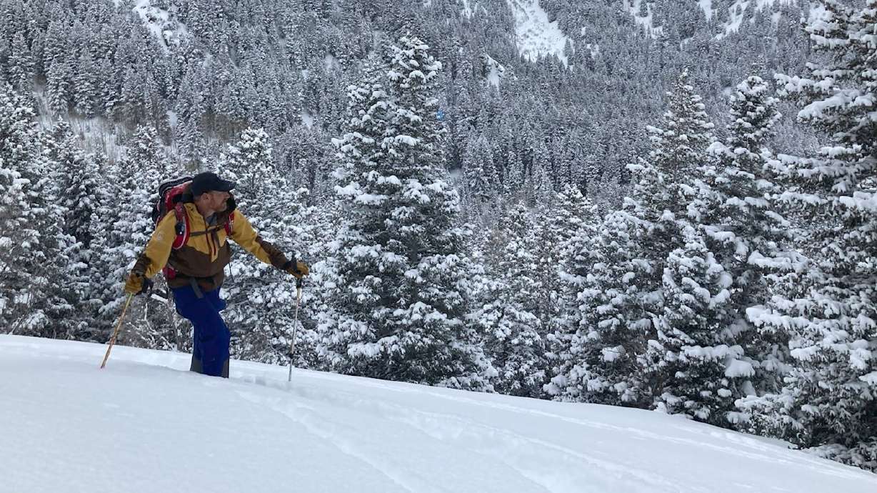 New Recreation Fees Required at Popular Wasatch Mountain Trailheads