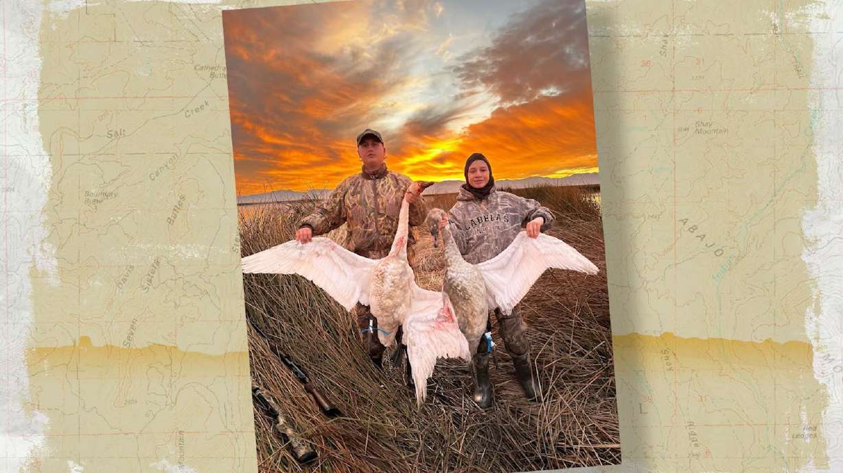 Snapshot of the Week: December 14, 2024