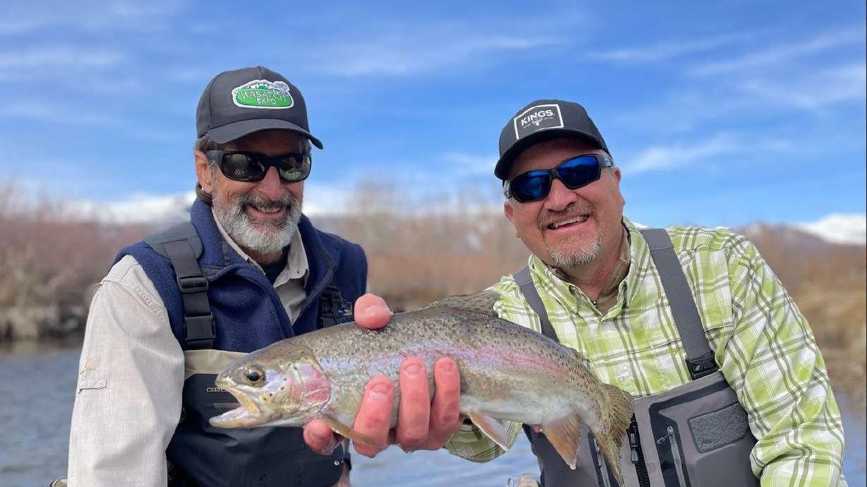 Big Rainbow Trout on the Middle Provo River