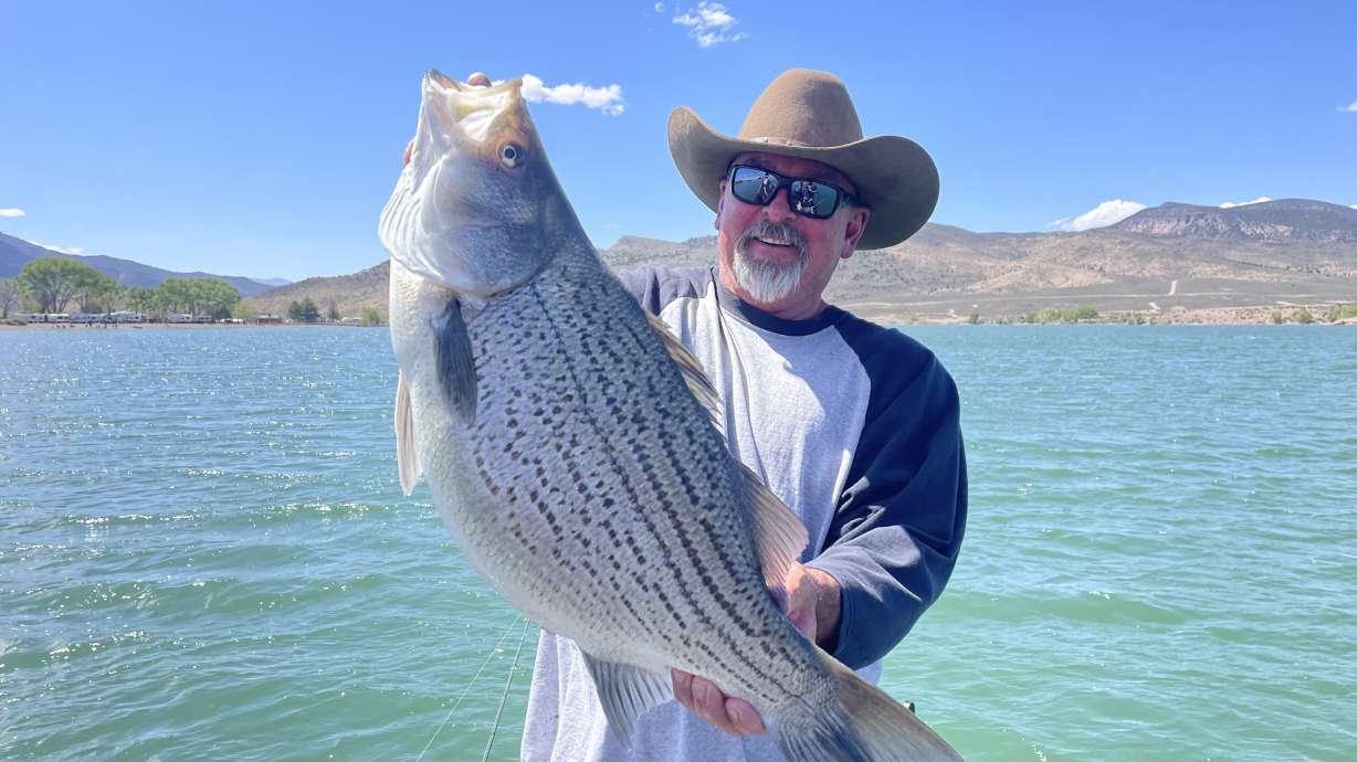 Did We Catch a Record-Breaking Wiper at Otter Creek?