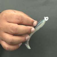 Top Picks for Summer Bass Fishing | Scheels Outdoor Tip