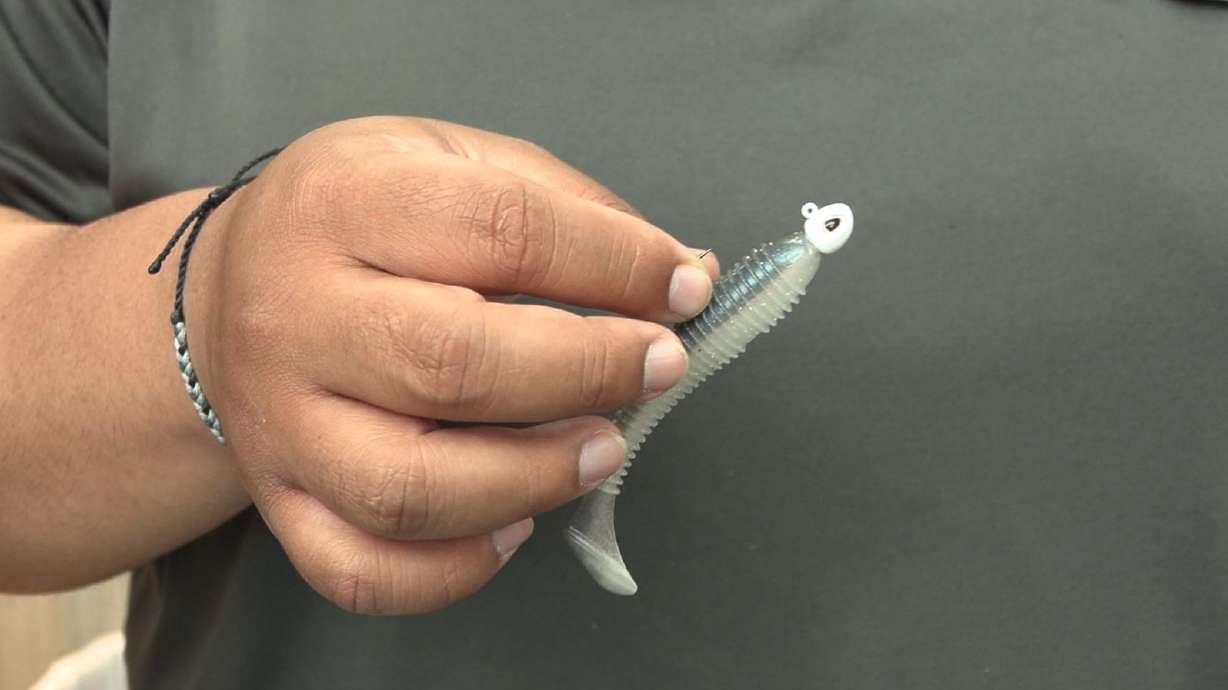 Top Picks for Summer Bass Fishing | Scheels Outdoor Tip