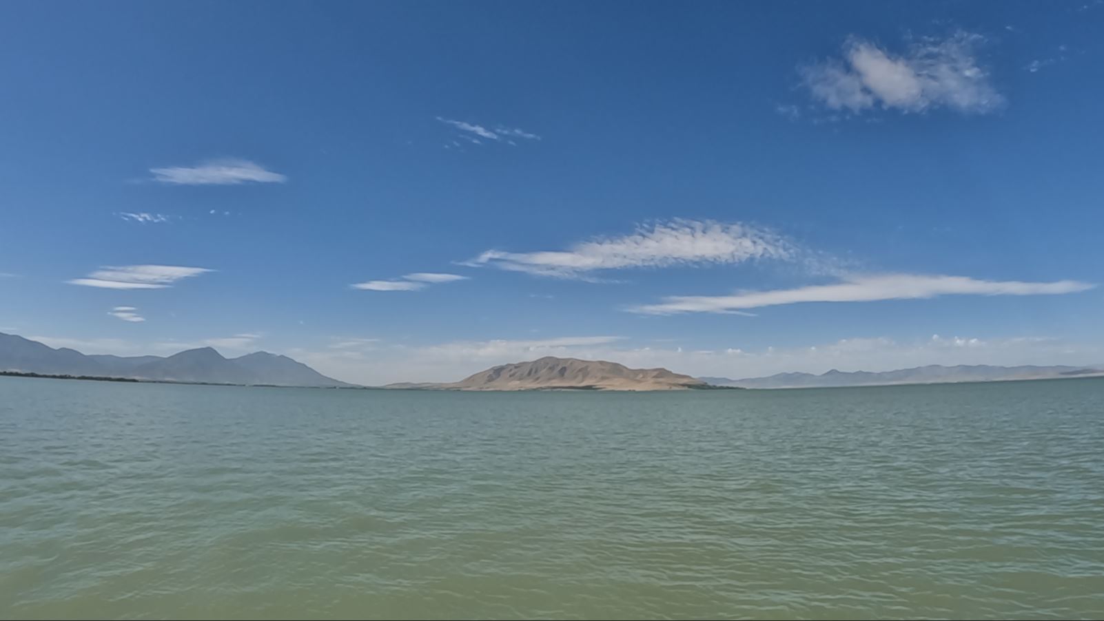 Scheels Outdoor Tip: Must-Have Catfish Gear for Summer Fishing