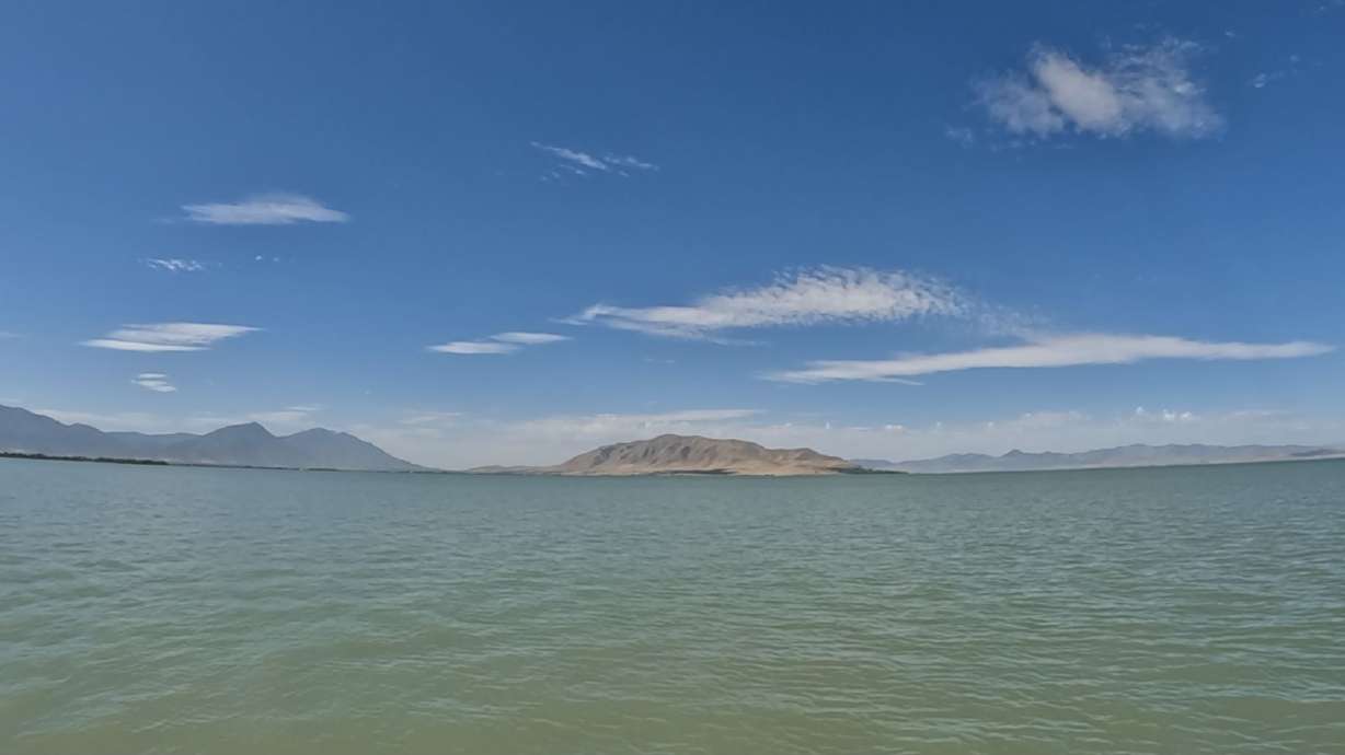 Scheels Outdoor Tip: Must-Have Catfish Gear for Summer Fishing