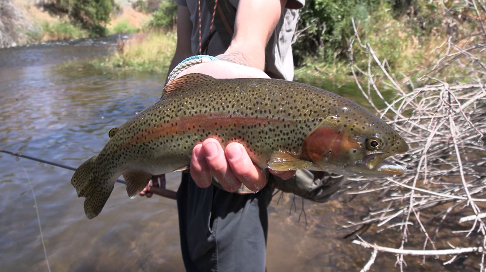 Hopper Fishing Lost Creek with the Upland Fly Shop Guys