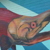 New Kokanee Mural Unveiled at Strawberry Reservoir | Utah Wildlife Walls