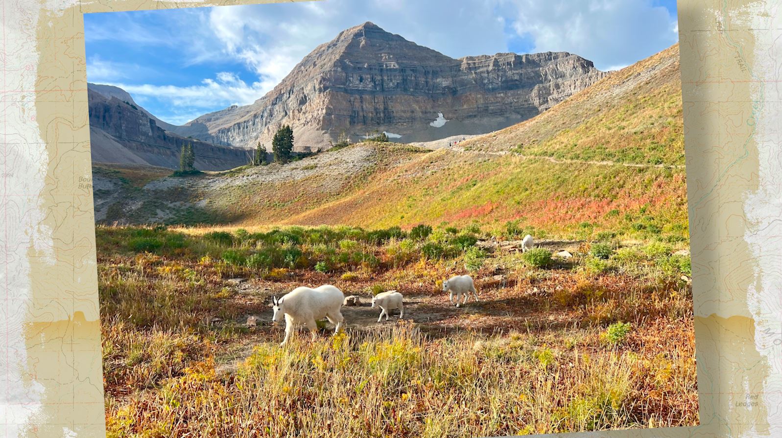 Snapshot of the Week: September 20, 2025