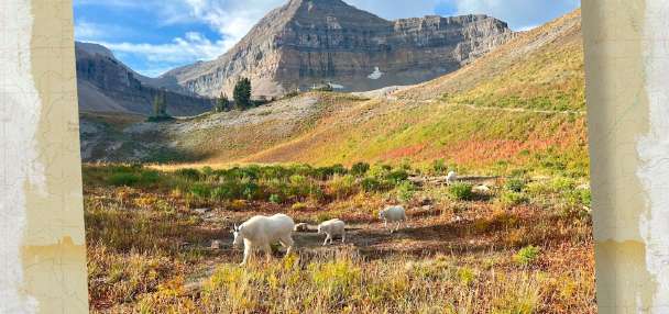 Snapshot of the Week: September 20, 2025