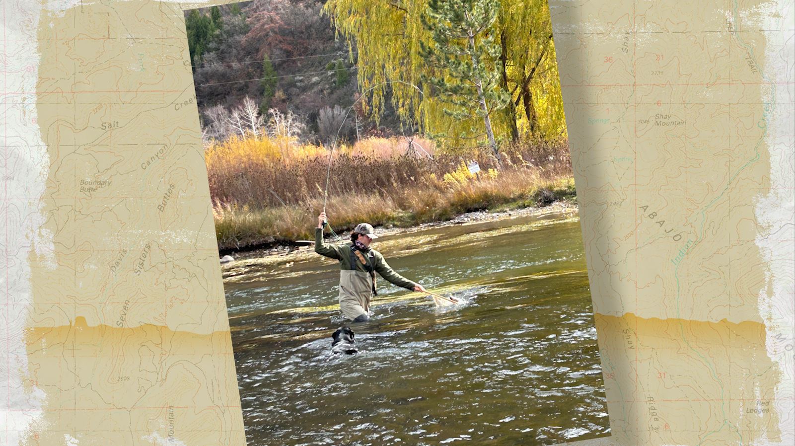 Snapshot of the Week: November 8, 2025