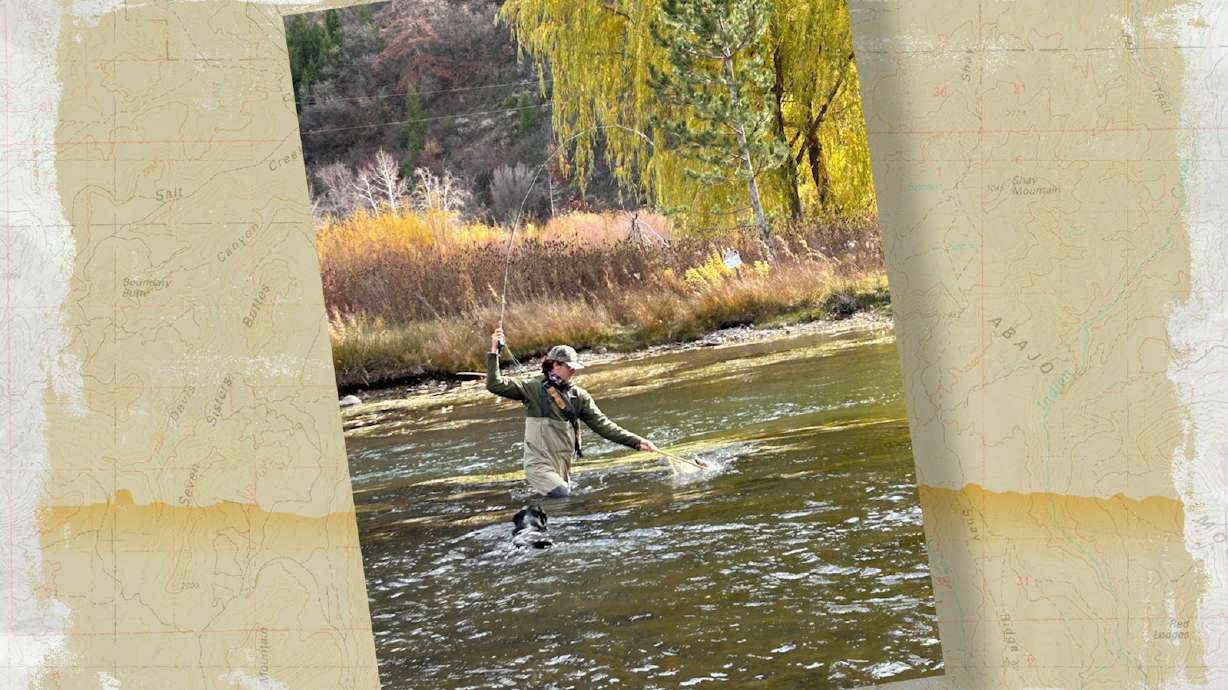 Snapshot of the Week: November 8, 2025