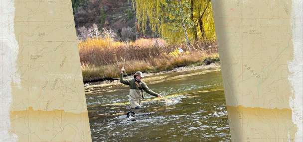 Snapshot of the Week: November 8, 2025