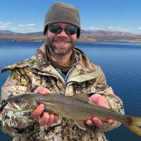 Catch Flaming Gorge Laker Pups, Win Cash!